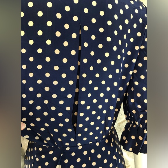 Timeless Vintage 1960s Blue Polka Dot Shirt Dress with Pleated Skirt Classic - Picture 14 of 16